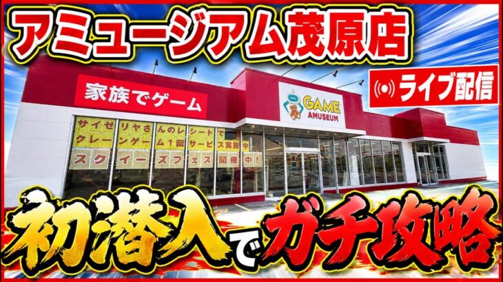【クレーンゲーム】千葉県で話題のゲームセンター！アミュージアム茂原店からライブ配信！