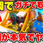 【クレーンゲーム】静岡でガチで取れる！アミュージアム清水店が想像以上だった🔥