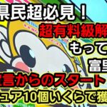 【趣味】超必見。完全初見のお店で大無双攻略解説【クレーンゲーム】
