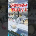 【ちいかわ】ミニプラがまぐちゲットまでの動画♡