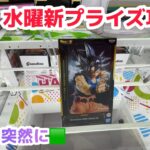 【クレーンゲーム】水曜日の新プライズを攻略🟩［橋渡し］