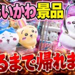 【ちいかわ】ゲームセンターでちいかわの景品全て取るまで帰れません。 『映画ちいかわ 人魚の島のひみつ』公開記念 #クレーンゲーム #ハチワレ
