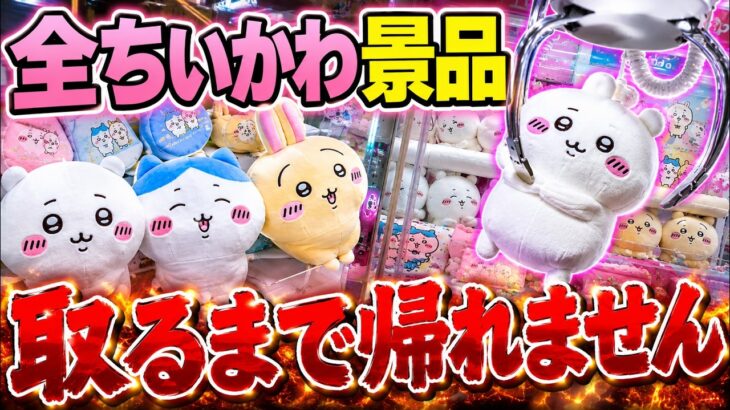 【ちいかわ】ゲームセンターでちいかわの景品全て取るまで帰れません。 『映画ちいかわ 人魚の島のひみつ』公開記念 #クレーンゲーム #ハチワレ