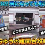 [クレーンゲーム] 見ないと取れない！おたちゅう相模原店の難関台や擬似箱攻略！ [ユーフォーキャッチャー]