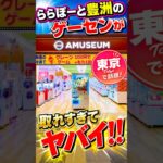 【クレーンゲーム】ららぽーと豊洲のゲーセンが取れすぎた！🔥アミュージアム豊洲店！