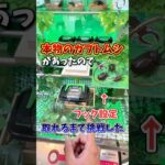 【ゲーセン】クレーンゲームに生きてるカブトムシが入ってたので取れるまで挑戦してみた🪲