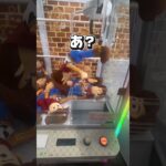 【明日から使えるかわからないぬいぐるみの荒らし方】