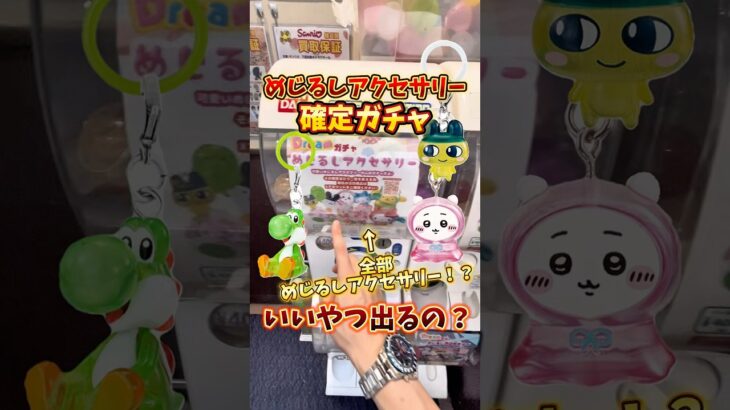 【ガチャ】めじるしアクセサリーが絶対に当たるガチャガチャを発見したので、売り切れるまで回してみた🔥