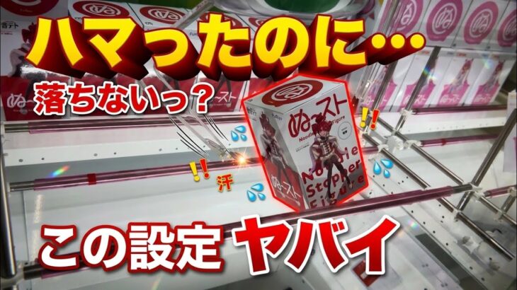 【クレーンゲーム】「獲れたでしょ！」と思った瞬間…まさかの展開になりました。