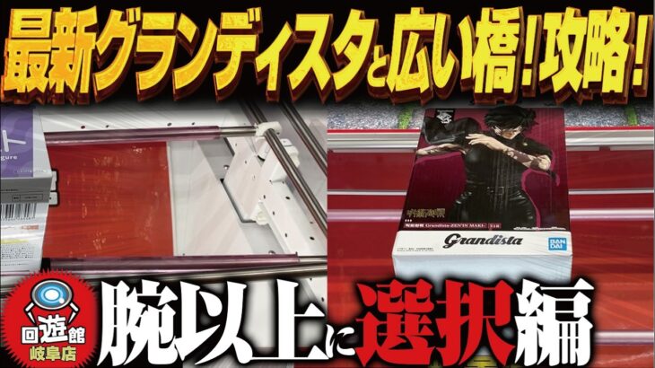 【クレーンゲーム】最新グランディスタともろもろ！攻略！回遊館岐阜店