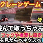 【クレーンゲーム】食べ物は買わずにクレゲで遊んで取っちゃおう‼︎フックや橋渡しでの取り方。ベネクス川越のプレイ動画。 【ユーフォーキャッチャー】 【物価高】