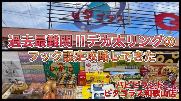 難関フック設定で豪華景品爆取りしてきた【ゲームセンター】