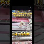 クレーンゲームで簡単に取る方法　ぱったん編