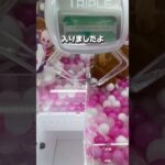 【北海道函館市最強ゲーセン】