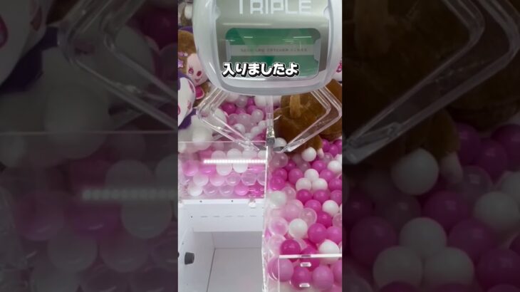 【北海道函館市最強ゲーセン】