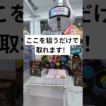 知らないと損！フック設定の攻略法