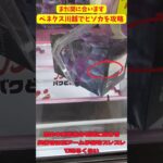 【ヒソカを攻略】　ベネクス川越で簡単ゲット！！