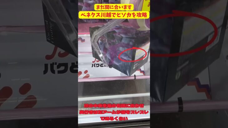 【ヒソカを攻略】　ベネクス川越で簡単ゲット！！