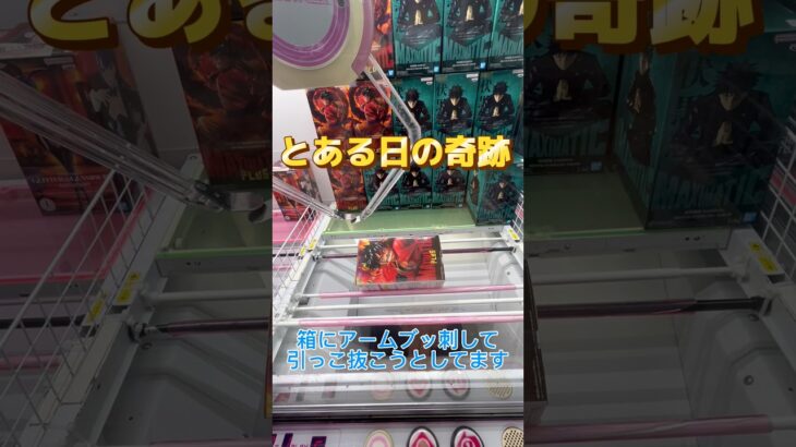 とある日の奇跡