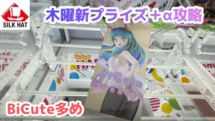 【クレーンゲーム】木曜の新プライズ＋αを攻略［橋渡し］
