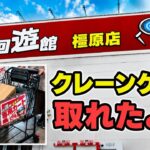 (クレーンゲーム)たくさん取れたよ🎉😊(vlog)2026年6月奈良県 橿原市 ·回遊館