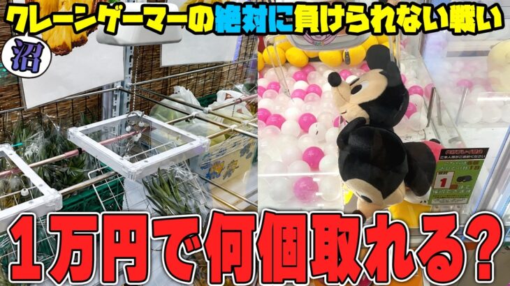 【総集編】沼れば地獄！？予算１万円で本気で取りに行った結果がヤバすぎたw【クレーンゲーム】