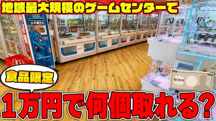 【驚愕】こんなことある！？食品縛りで１万円使った結果がエグすぎたw【クレーンゲーム】