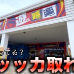 コツ掴んだら爆裂に景品取れまくる店発見したw【クレーンゲーム／UFOキャッチャー】