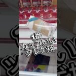 1番カッコいいクレーンゲームの技 #クレーンゲーム #攻略