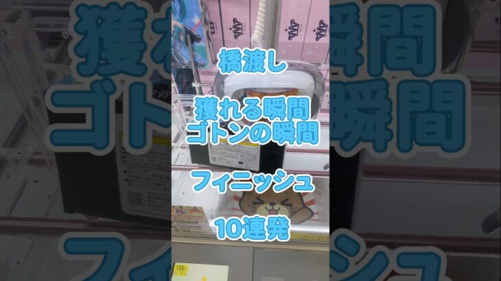 【クレーンゲーム】獲れる瞬間 ゴトンの瞬間 フィニッシュ 10連発 橋渡し #クレーンゲーム #ゲームセンター #ufoキャッチャー #クレゲ #ゲーセン #プライズ獲得 #橋渡し #フィギュア