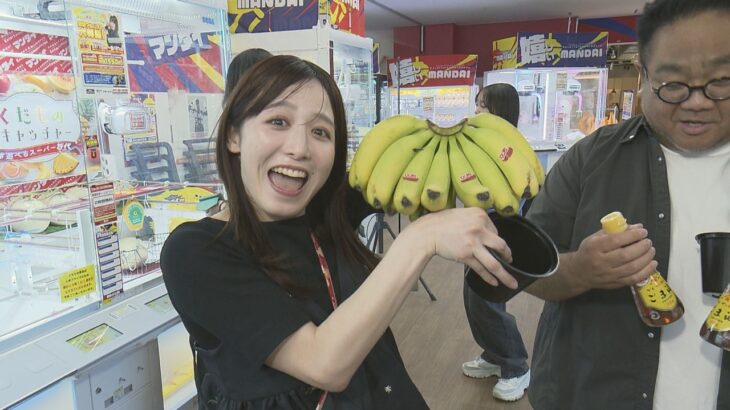 メロンが獲れる!?100円クレーンゲームと無限パフェ【新さっぽろ】