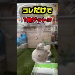 【攻略】たったの100円で取れる裏技!? #shorts #おすすめ #ダンス #ufoキャッチャー＃クレーンゲーム#クレゲ #clawmachine #ゲームセンター