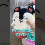 セイレーンぬいぐるみ　ゲーセンで100円ゲットできる裏技教えます！#クレーンゲーム #ufoキャッチャー  #ちいかわ #ちいかわぬいぐるみ  #人魚の島の秘密 #ゲーセン