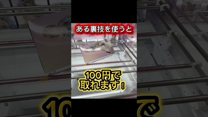 【クレーンゲーム】見なきゃ損！この形100円で取る裏技教えます！ #クレーンゲーム #ゲームセンター #アミューズメント限定 #ufoキャッチャー
