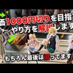 【クレーンゲーム】最新プライズ攻略！この通りやれば沼らずゲットできます！単価1000円切りを目指しましょう。