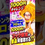 フックのプロなら1000円で何個取れる!？#クレーンゲーム #ufoキャッチャー # ゲーセン #ゲームセンター #arcade