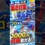 1000円だけで暑さ対策グッズを何個取れるのか挑戦してみたらまさかの、、、#クレーンゲーム #ufoキャッチャー # ゲーセン #ゲームセンター #arcade