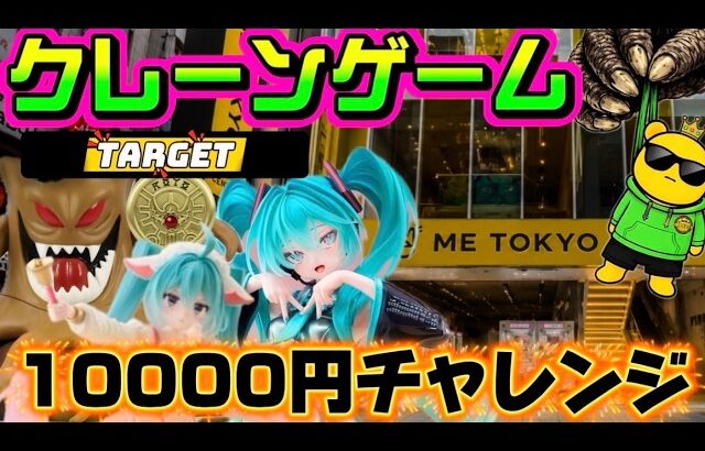 【10000円チャレンジ】ミクとドラクエの日…！  LIVE IN ME TOKYO SHINJUKU #クレーンゲーム #ufoキャッチャー