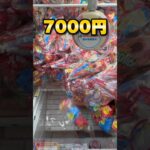 栃木に衝撃的なゲーセンが誕生！全力で狙ったら10000円で何個獲れる？ #shorts #クレーンゲーム #ufoキャッチャー #cranegame