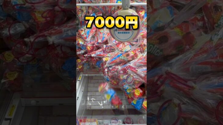 栃木に衝撃的なゲーセンが誕生！全力で狙ったら10000円で何個獲れる？ #shorts #クレーンゲーム #ufoキャッチャー #cranegame