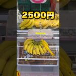 関西の衝撃的なゲーセンに潜入！夏休み真っ只中、10000円で何個獲れる？ #クレーンゲーム #ufoキャッチャー #cranegame