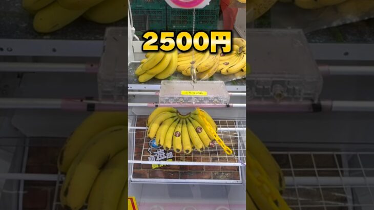 関西の衝撃的なゲーセンに潜入！夏休み真っ只中、10000円で何個獲れる？ #クレーンゲーム #ufoキャッチャー #cranegame