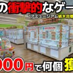 【クレーンゲーム】栃木に衝撃的なゲーセンが誕生！全力で狙ったら10000円で何個獲れる？【アミュージアム栃木合戦場店・UFOキャッチャー】
