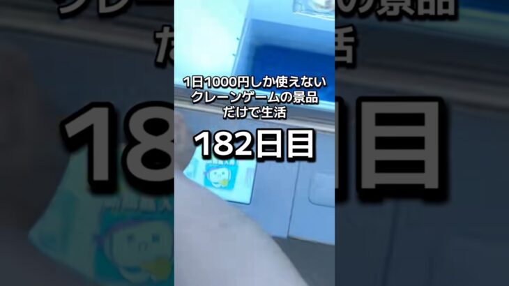 １日1000円しか使えないクレーンゲームの景品だけで生活182日目 #clawmachine #クレーンゲーム #ゲームセンター #ufoキャッチャー #ゲーセン #フック設定