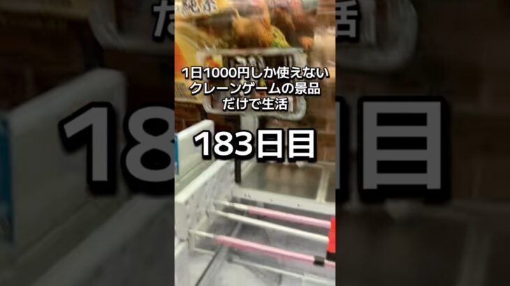 １日1000円しか使えないクレーンゲーム専門店景品だけで生活183日目 #clawmachine #クレーンゲーム #ゲームセンター #ufoキャッチャー #ゲーセン #フック設定