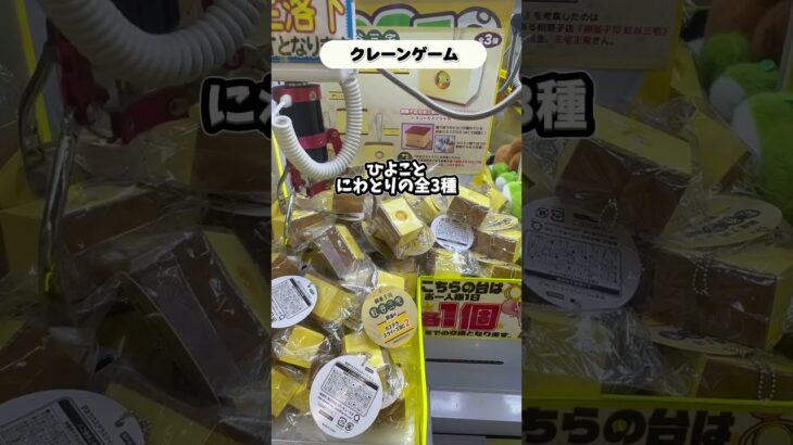 100円キャッチャーでスクイーズGETしてみた！　#スクイーズ #クレーンゲーム #ufoキャッチャー