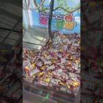 ちび勝大量！？長女の10円キャッチャー#クレーンゲーム#クレゲ#お菓子#駄菓子#ちび勝#10円キャッチャー#ゲームセンター#ゲーセン#プライズ#景品#長女#お宝買取団#三原#三原店#倉庫ゲーセン