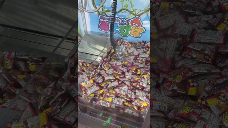 ちび勝大量！？長女の10円キャッチャー#クレーンゲーム#クレゲ#お菓子#駄菓子#ちび勝#10円キャッチャー#ゲームセンター#ゲーセン#プライズ#景品#長女#お宝買取団#三原#三原店#倉庫ゲーセン