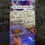 10円牡蠣とり放題！クレーンゲーム100円で何個とれる？