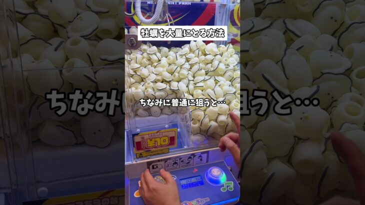10円牡蠣とり放題！クレーンゲーム100円で何個とれる？